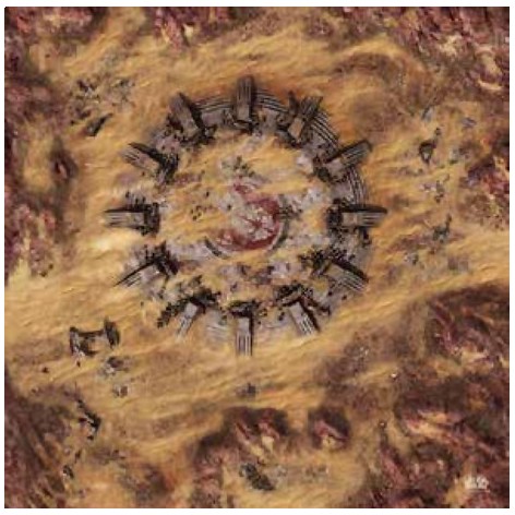 Star Wars Legion: Desert Ruins Gamemat - accesorio juego de mesa