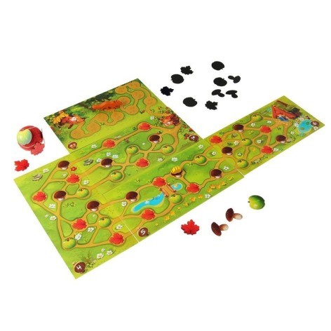 Erizos, a rodar - juego de mesa para niños