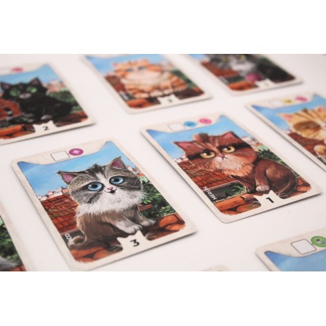 Cathood: Family and Friends (castellano) - Expansión juego de mesa