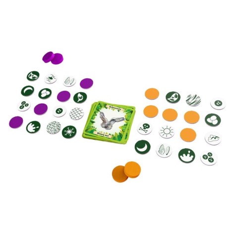 Bingo: Animales del Mundo - Juego de mesa para niños