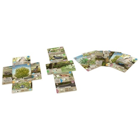 Forest Shuffle: Dartmoor (castellano) - Juego de cartas