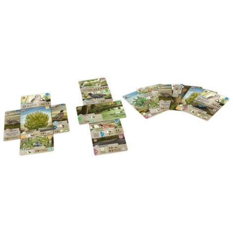 Forest Shuffle: Dartmoor (castellano) - Juego de cartas