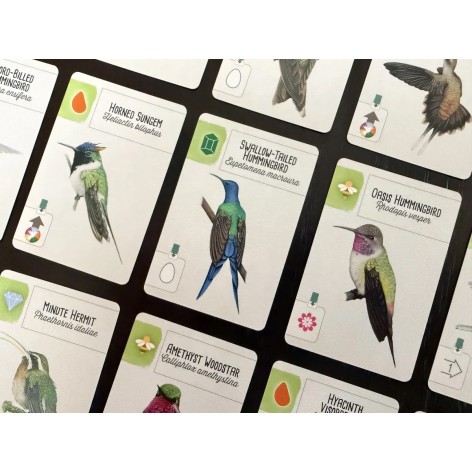 Wingspan: Expansion America - expansión juego de mesa