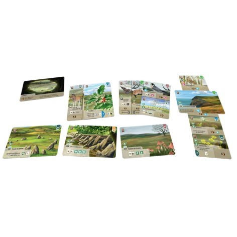 Forest Shuffle: Dartmoor - Exmoor (castellano) - Expansión juego de cartas