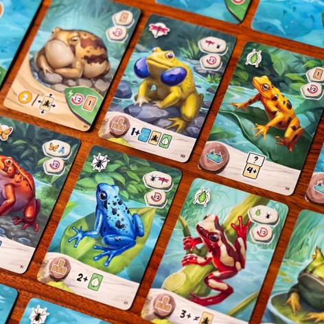 Cartas del juego de cartas Pondscape (castellano)